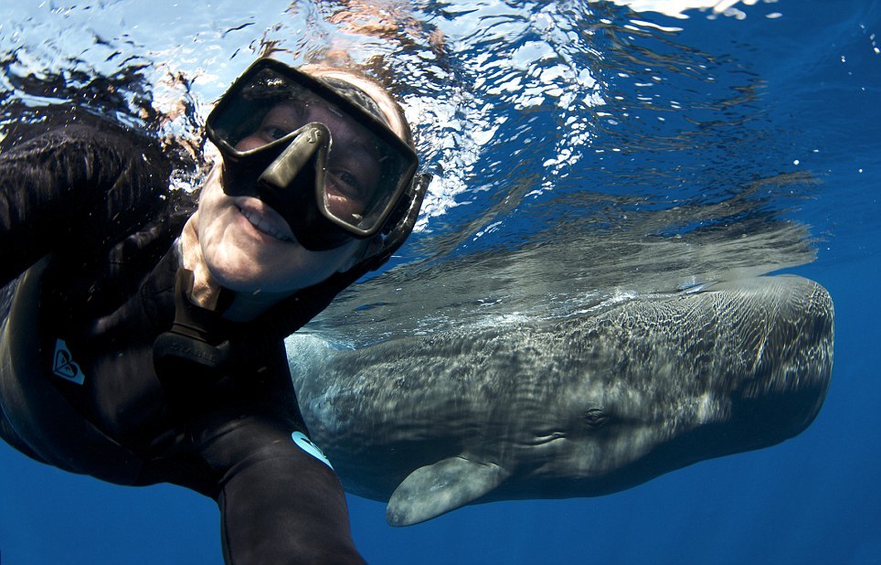 A whale lover