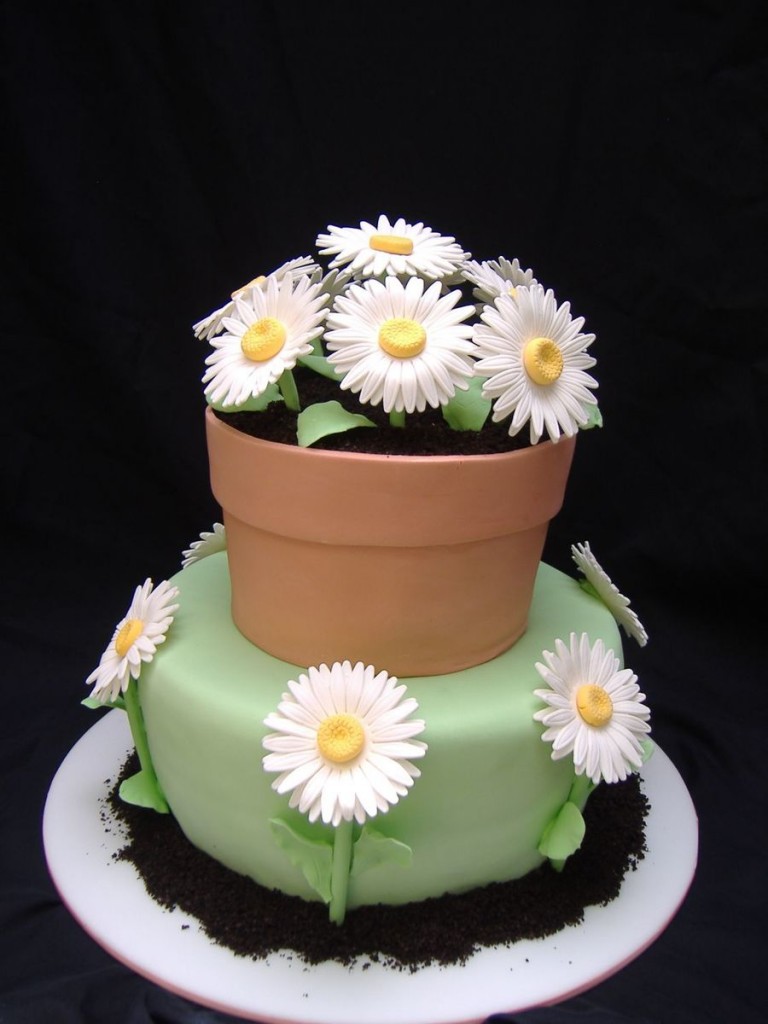 Gerber Daisies And Flower Pot