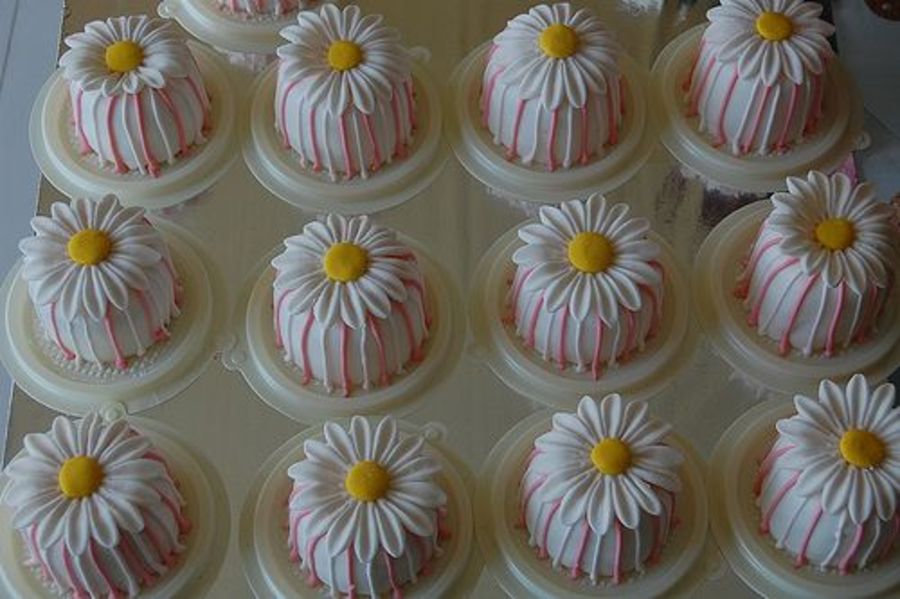Pinky Strip Daisy Mini Cake