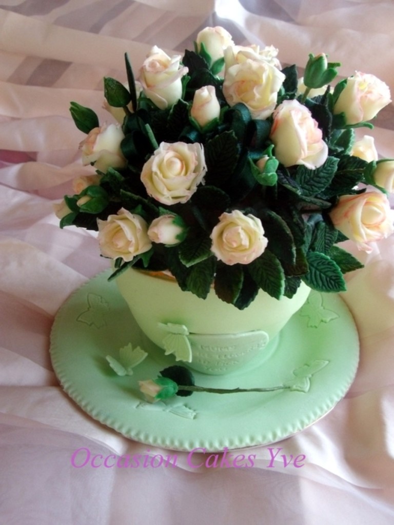 Potted Rose Bush Cake