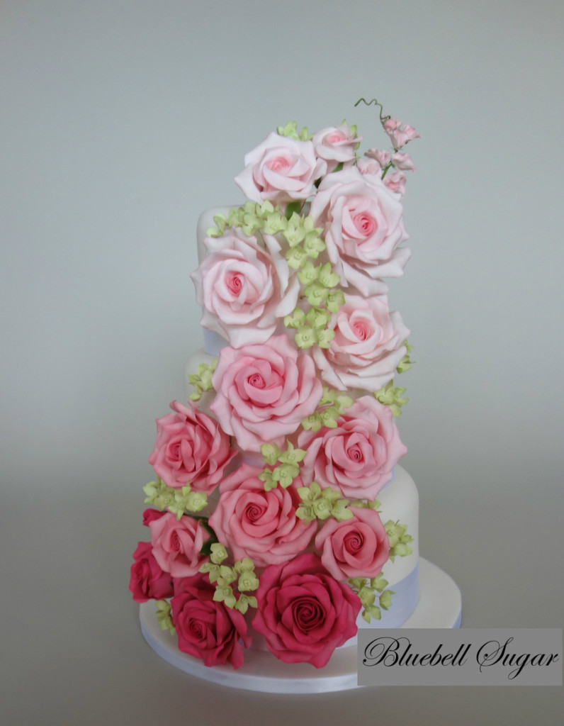 Wedding Cake Roses