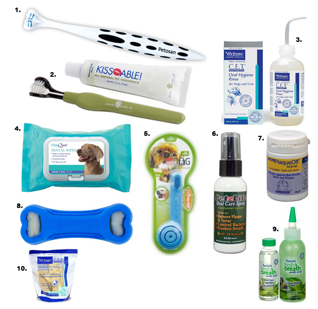 Sample set of accessories for your dogs in their hygiene