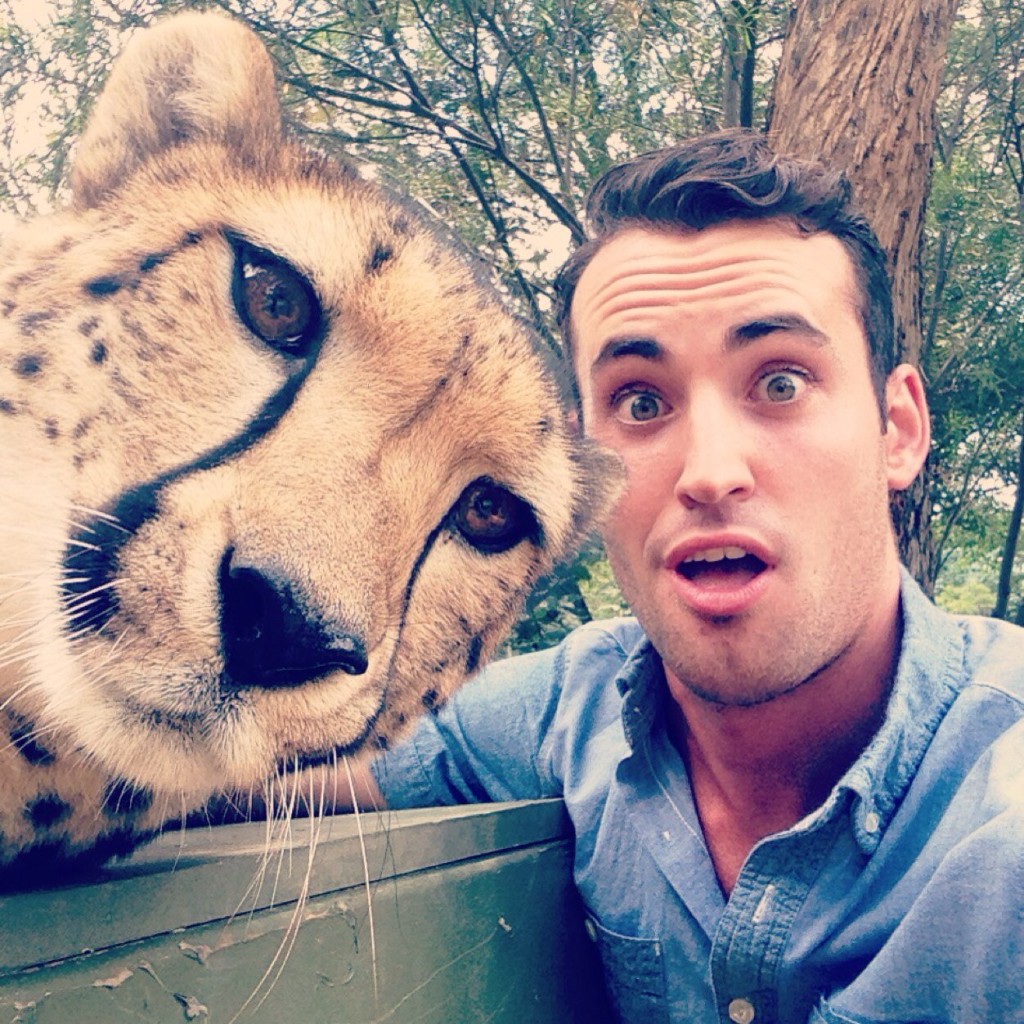 A friendly cheetah