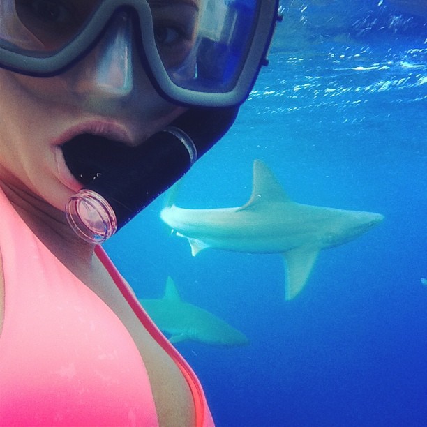 A shark with a view