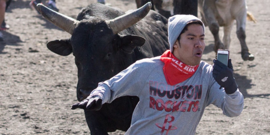 An extreme bull fan