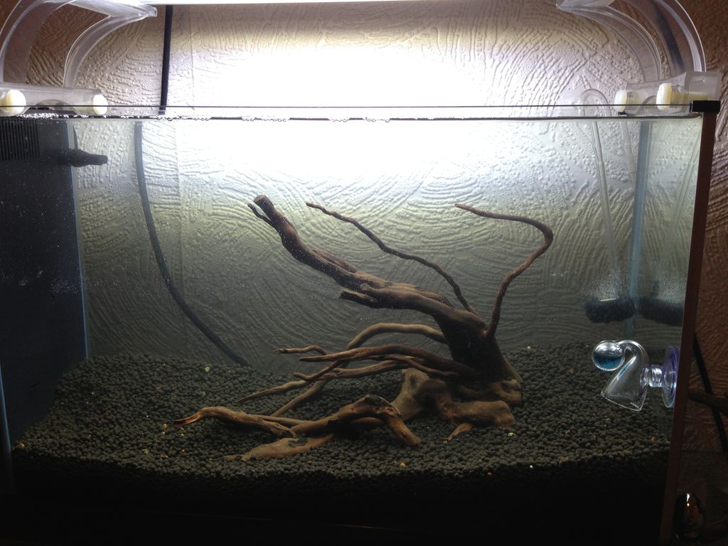 Fantastic Home Made Fish Tank Decoration